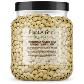 Plant Guru Moringa Seeds Kernel Shelled 2 lbs. Wide Mouth Jar - Clean PKM1 Variety - Edible - Moringa Oleifera - Malunggay - Semillas De Moringa - Drumstick Tree - Non-GMO - 4000 to 4800 Seeds Approx.