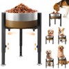 Elevated Dog Bowl Stand, Upgrade Metal Dog Feeder, 4 Adjustable