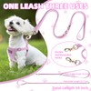 PUPTECK Dog Harness and Leash Set Small Sized, Lightweight Step-in