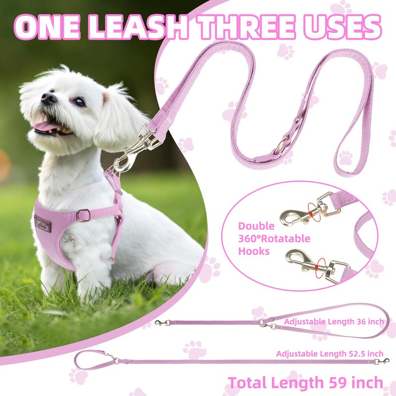 PUPTECK Dog Harness and Leash Set Small Sized, Lightweight Step-in