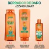 Garnier Fructis Borrador De Daño Rutina Control Grasa