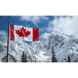 The National Flag of Canada Flag, Large Outdoor National Flag, 150 cm x 90 cm Standard Residential Flag, Silk Printed, Outdoor Indoor, Printed Maple Leaf Polyester and Brass Grommets, Canadian National Flag for Home Garden Yard