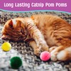 SPOT Wool Pom Poms Cat Toy - Interactive Wool Balls