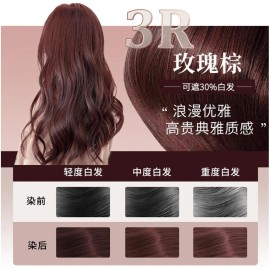Kao [US Seller] KAO Blaune Bubble Hair Dye Kit for Gray Hair #3R Rose Brown Japan