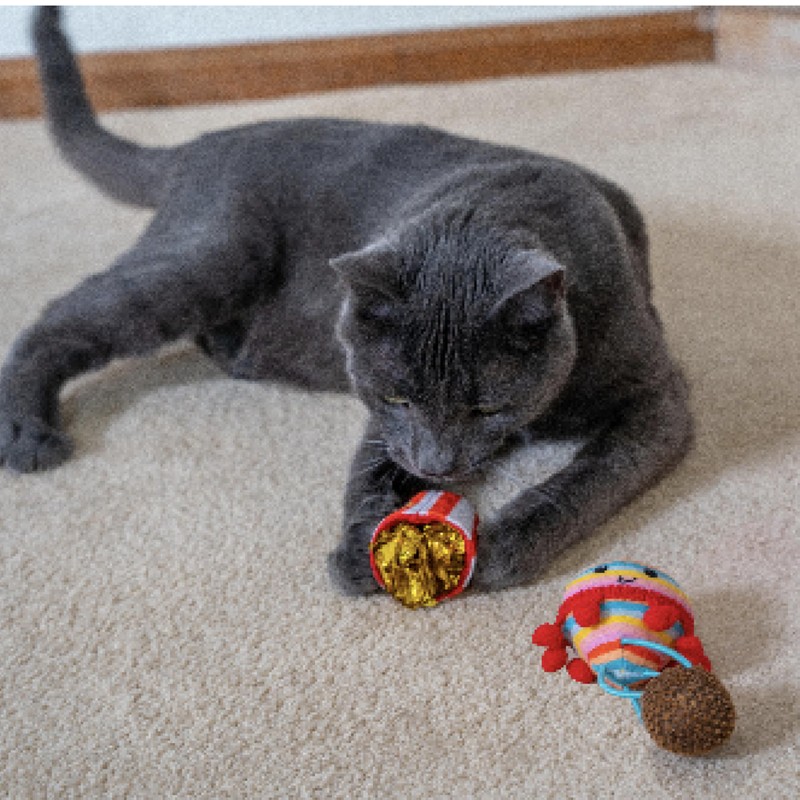 Catstages Pawrty Cat Toys, 3-Pack Catnip Plush Toys with Crinkle,