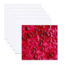 6 Pcs Silicone Dehydrator Trays 11 x 11 Inch, Square Fruit Leather Mats with Edge, Compatible with SUCISENI Large Dehydrator, Non-stick Fruit Roll Sheets Reusable for Liquids, Crackers, Fruit