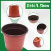YSMN 8 Inch Nursery Pots 100pcs Plastic Bowl for Seed