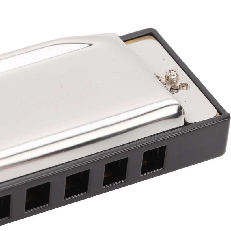 G Key Harmonica 10 Hole 20 Tone Mouth Organ Rust