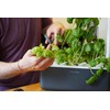 Click & Grow Indoor Herb Garden Kit with Grow Light