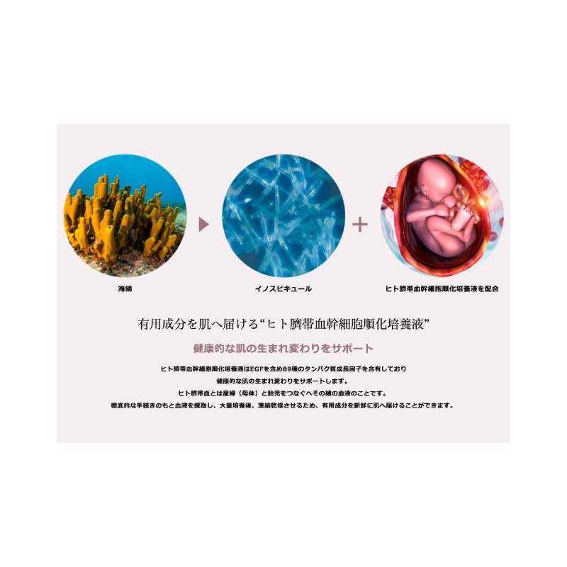 Halitos Foundation Corset Foundation Genuine Product 0.5 oz (15 g)