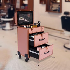 lkoewqzamx Professional Rolling Makeup Trolley Case, Train Case Box, Organizer Salon Cosmetic, with 360° Rotation Wheels, for Hair Stylist Beauty Nail Technicians (Gold)