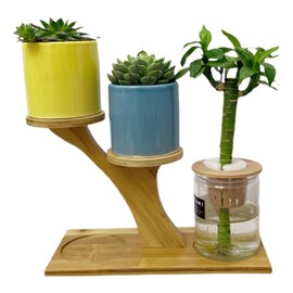 QruiLanTu Window Sill Plant Shelf，Desk Desktop Bamboo Plant Stand， Table Succulent Plant Stand for Home, Office, Living Room, Bedroom Decoration