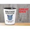 Bubble Hugs Cat Lover Shot Glass 1.5oz - British Shorthair