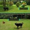 Heavy Duty Aerial Dog Tie Out Trolley System for Small