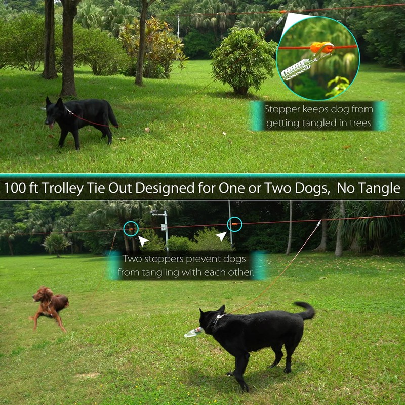 Heavy Duty Aerial Dog Tie Out Trolley System for Small