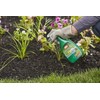 Ortho Grass B Gon Garden Grass Killer, 24-Ounce (3 Pack),