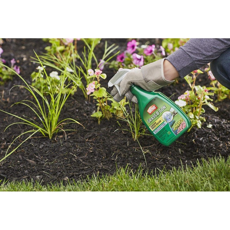 Ortho Grass B Gon Garden Grass Killer, 24-Ounce (3 Pack),