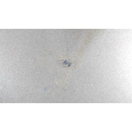 Tecumseh 590391 Tecumseh Brake Spring