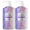 Asome Feminine Cleanser Large Capacity Lactobacillus 500mlX2 Feminine Cleanser Large