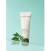 Mugwort Fluid Cream 50ml / 머그워트 플루이드 크림 50ml