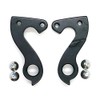 Derailleur Hanger 196