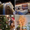 TIGOMOOV 50 Count Mini Clear White Christmas Lights-120V Plug-in End