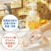 Biore The Hand Foaming Hand Soap, Soft Unraveling Sundripping Fruit