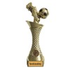 Larius Group Football Trophy with Desired Text, Extra Large (270