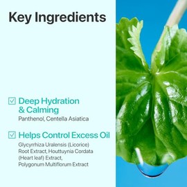 numbuzin Tóner No.1 | Tónico de hierbas calmantes Pure-Full | Brotes, enrojecimiento, control del exceso de aceite | Centella asiática, hoja de corazó