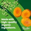 Pacific Foods Organic Chicken and Wild Rice Soup, 16.3 oz