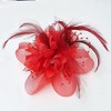 TS Accessories Headwear Elegant Luxurious Feather Mesh Fascinators Hair Clip