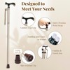 Merry Sticks Lightweight Foldable Walking Canes for Women and Men,