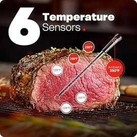 Termómetro digital inalámbrico inteligente Bluetooth para carne, 6 sensores de precisión, termómetro de alimentos de lectura instantánea 0.5S, base de