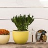 Mouse Hole Skirting Board Wall Sticker, Waterproof Skirting Board Cover,