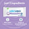 WaterWipes Soothing Clean Baby Wipes, 99% Water-Based Formula with Botanical
