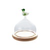 Creative Co-Op Glass Cloche with Wood Base and Duck Topper,