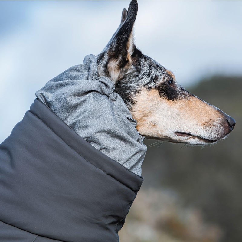 Hurtta Extreme Overall, Dog Snowsuit, BlackBerry, 10S