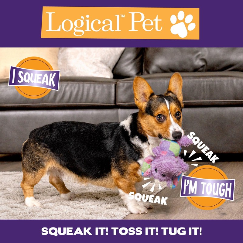 Pet Factory Logical Pet Patchwork Squeaky Plush Dog Toy, Randomly