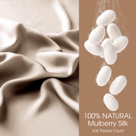 WLOSJ 100% Silk Pillow Cases 2 Pack Standard Size Mulberry Silk Pillowcase for Hair and Skin Highest Grade 6A Silk Soft Breathable Cooling with Hidden Zipper Set of 2, Taupe