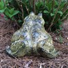 Call of the Wild HomeStyles 89590 Bullfrog Toad 8.5" H