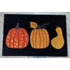 IKEA Door Mat Pumpkin Indoor/ Outdoor 2' x 2' 11"