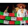 Mexican party decorations, Mexican Independence Day Papel Picado Banner, Mexico