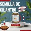 ARIAZU Semillas de cilantro 500 gramos especias envase de plastico