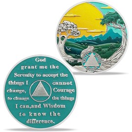 Imasoner 0 Year Sobriety Coin Gifts | Forest Tree Blank AA Coins - HA AA Chip Medallion with Serenity Prayer | Narcotics Alcoholics Anonymous Gifts for Anniversary Month & Year for Men & Women in Recovery