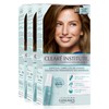 Clinuance Permanent Colouration without Ammonia, Sensitive Hair, 5.3 Chestnut Golden