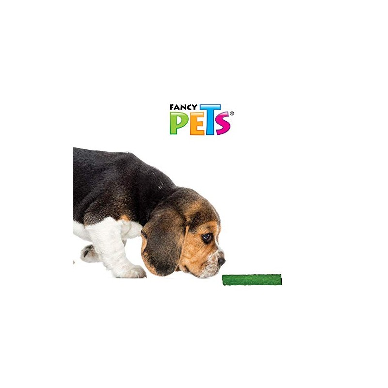 Fancy Pets Palitos Huecos de Carnaza de Colores para Perros