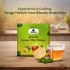 APSARA Lemon Mint Ginger Green Tea Bags 100 pcs Herbal