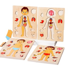 Montessori Jigsaw Puzzle of Human Structure Kids Human Learning Toy Anatomy Organ Model Anatomy Toy Children Human Organ Education Toys Human Organ Teaching Aids (Boy)