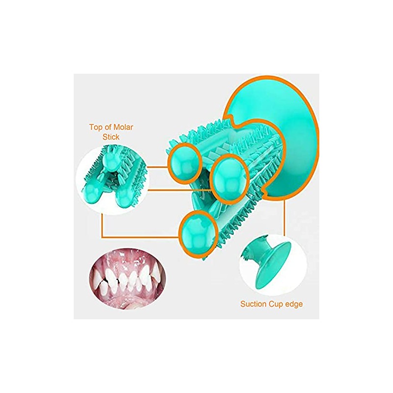 Cepillo Dental para Perros, Cactus, Cuidado Dental, Juguete para Masticar,