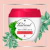 TEATRICAL - Crema Facial Antiarrugas. Con células madre de té